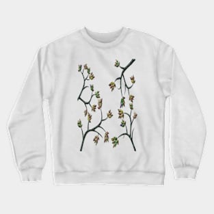 First Frost Crewneck Sweatshirt